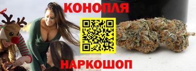 индика Ачхой-Мартан