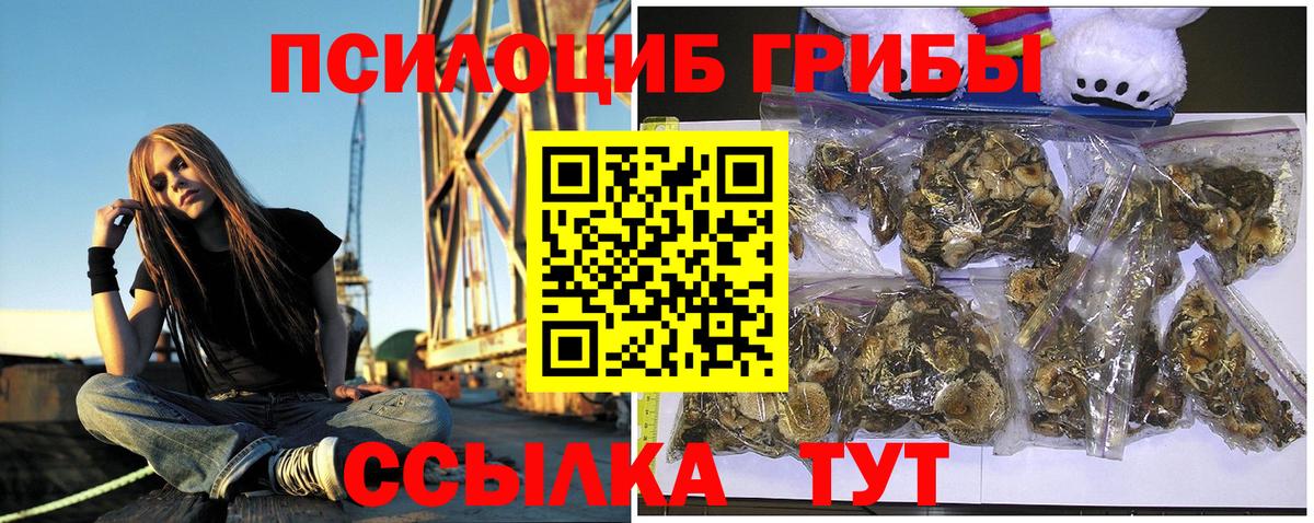 Галлюциногенные грибы Cubensis  Вход с VPN  Горячий Ключ 